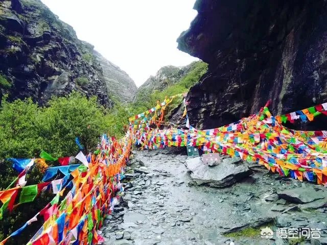 八九月份适合去哪里旅游?