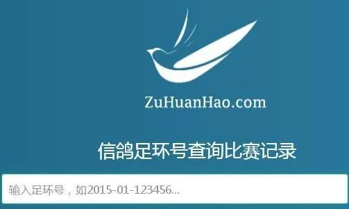 免费查询信鸽足环号