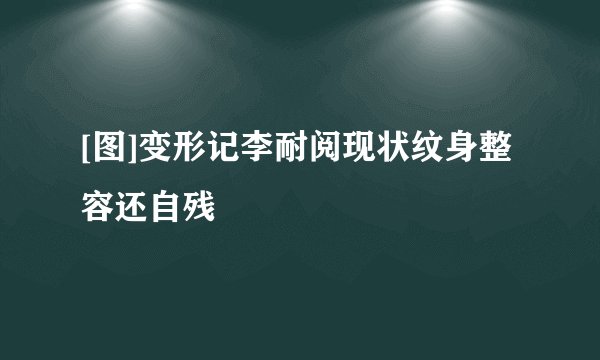 [图]变形记李耐阅现状纹身整容还自残