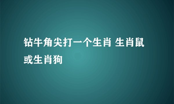钻牛角尖打一个生肖 生肖鼠或生肖狗