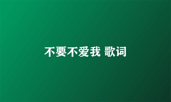 不要不爱我 歌词