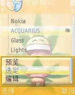 5800主题下载及手机主题的安装/删除方法