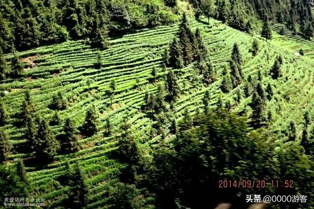 七井山