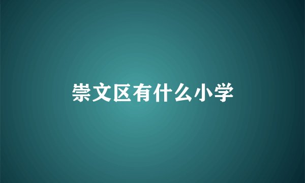 崇文区有什么小学