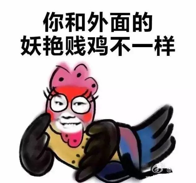 鸡年春晚吉祥物有毒:我跟外面的妖艳贱鸡不一样!