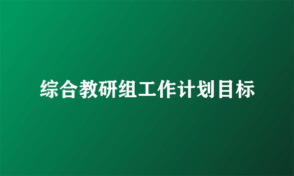 综合教研组工作计划目标