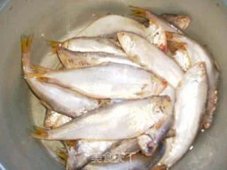 香酥糖醋马口鱼