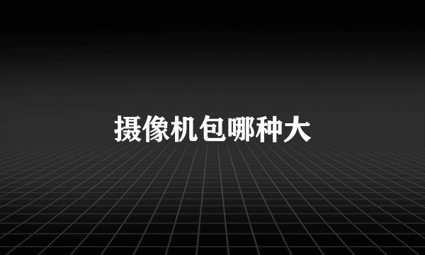 摄像机包哪种大