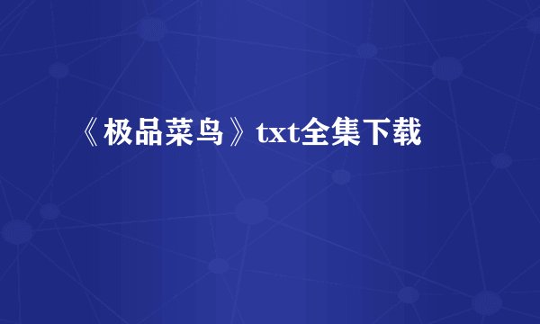 《极品菜鸟》txt全集下载