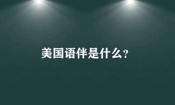 美国语伴是什么？