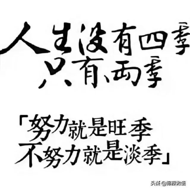 中考化学冲刺阶段该如何备考?