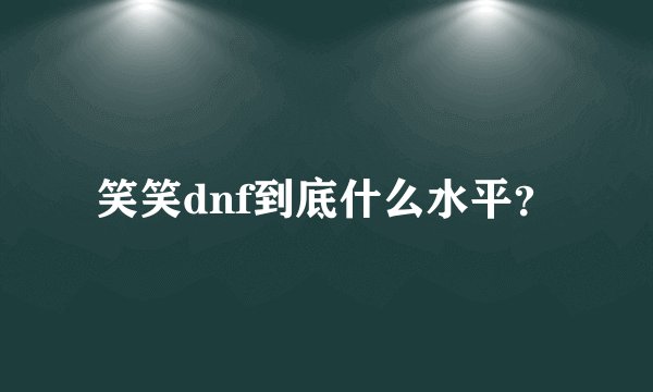 笑笑dnf到底什么水平?