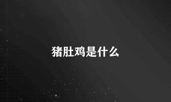 猪肚鸡是什么