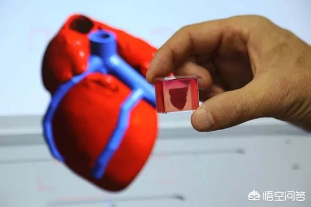 怎么看第一个3D打印柔性心脏的产生?