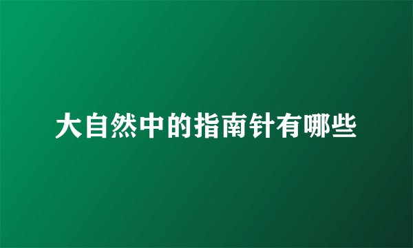 大自然中的指南针有哪些