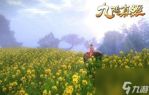 九阴真经4内任务领取和兑换条件详解 附君子堂四内剧情解析