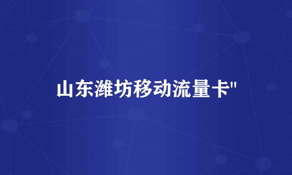 山东潍坊移动流量卡