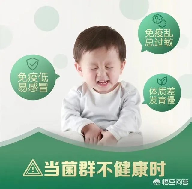 你们买益生菌的话都是买什么品牌的?