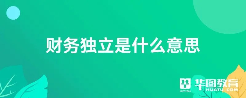 财务独立是什么意思