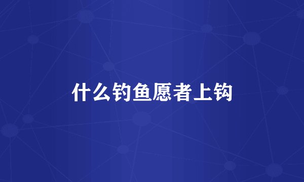 什么钓鱼愿者上钩