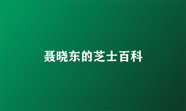 聂晓东的芝士百科