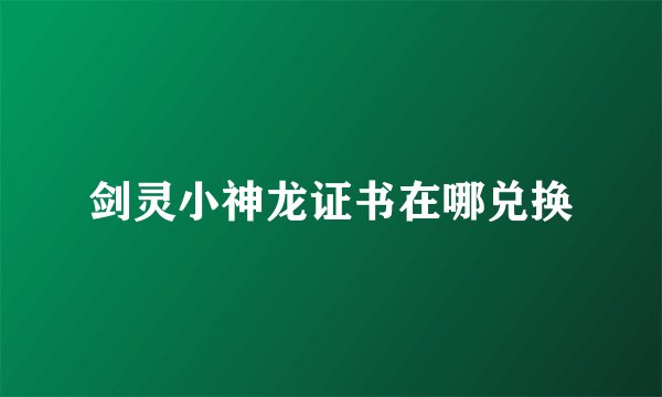 剑灵小神龙证书在哪兑换