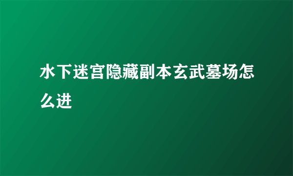 水下迷宫隐藏副本玄武墓场怎么进