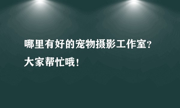 哪里有好的宠物摄影工作室?大家帮忙哦!