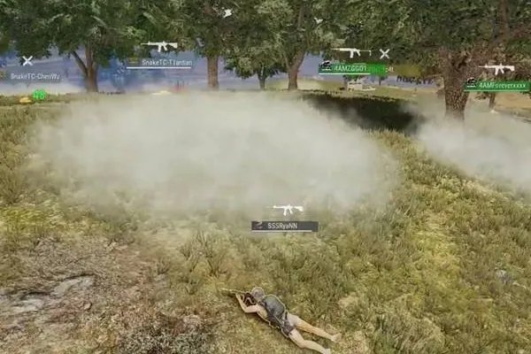 绝地求生fgs国际邀请赛排名是怎样的?