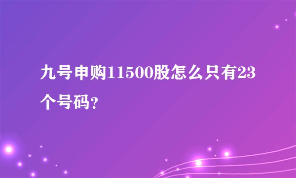 九号申购11500股怎么只有23个号码？