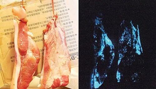 蓝光猪肉,是怎么回事?