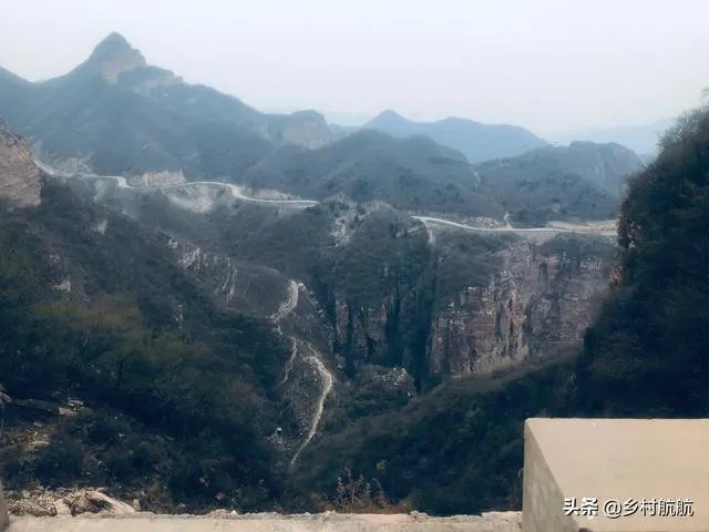 农户在集体荒地上种植竹子,成林后被偷砍且挖掉,能得到赔偿吗?有何依据?