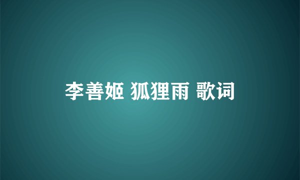 李善姬 狐狸雨 歌词