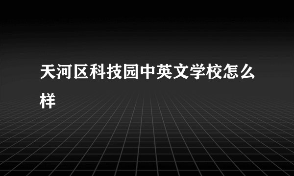 天河区科技园中英文学校怎么样