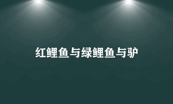 红鲤鱼与绿鲤鱼与驴
