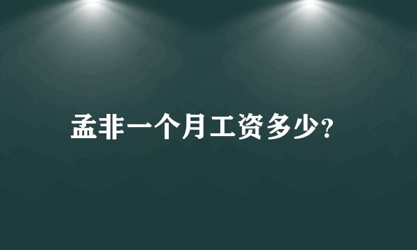 孟非一个月工资多少？