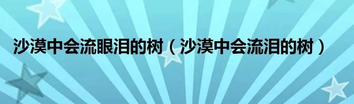 沙漠中会流眼泪的树（沙漠中会流泪的树）