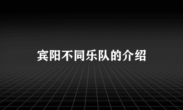 宾阳不同乐队的介绍