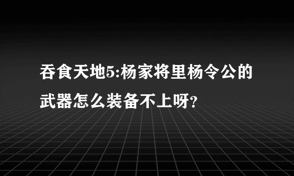吞食天地5:杨家将里杨令公的武器怎么装备不上呀？