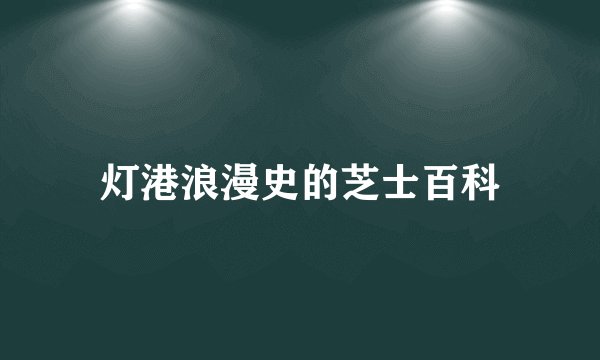 灯港浪漫史的芝士百科