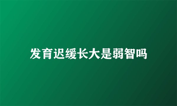 发育迟缓长大是弱智吗