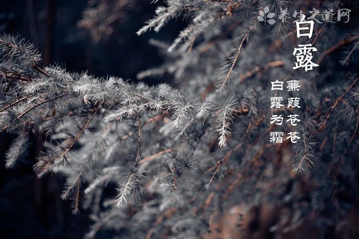 大寒节气应吃什么