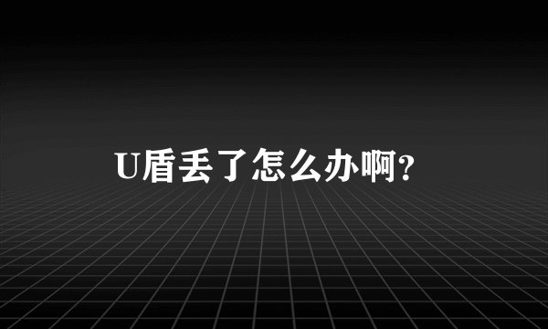 U盾丢了怎么办啊？