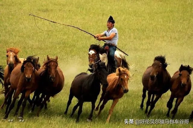 尼康d300s怎么样?