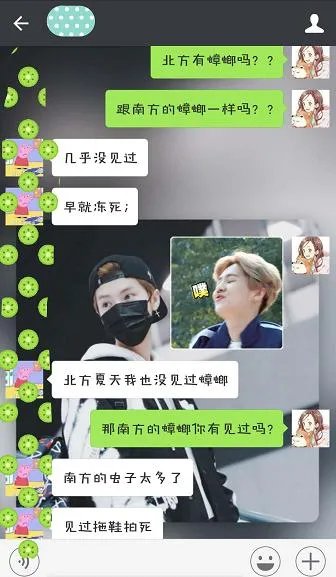 北方蟑螂和南方蟑螂哪个更可怕?