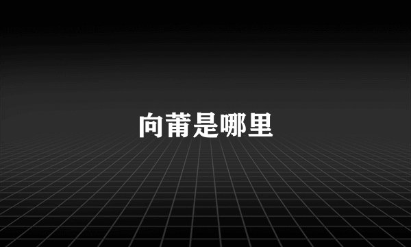 向莆是哪里