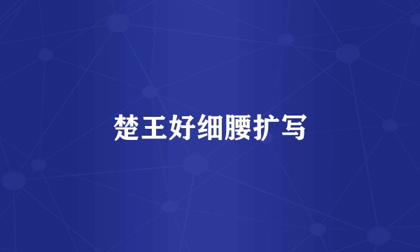 楚王好细腰扩写