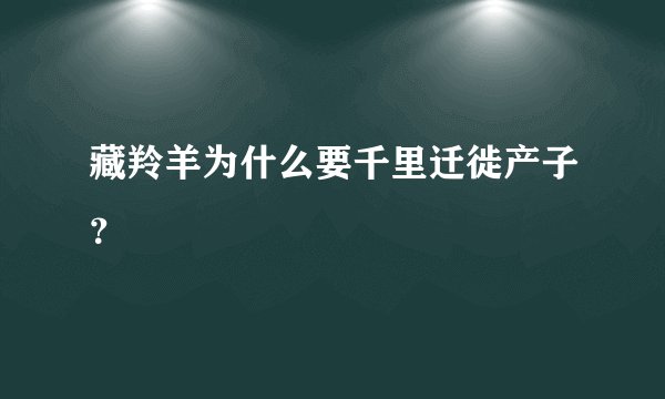 藏羚羊为什么要千里迁徙产子？