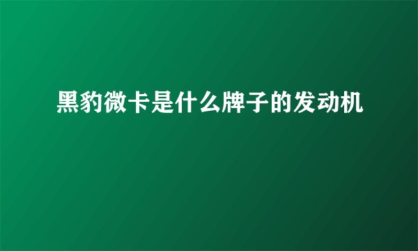 黑豹微卡是什么牌子的发动机