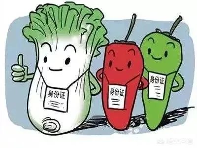 农产品溯源是什么意思?